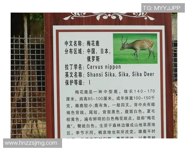 雄鹿栖息地环境变化对其生长繁殖的影响及保护对策分析