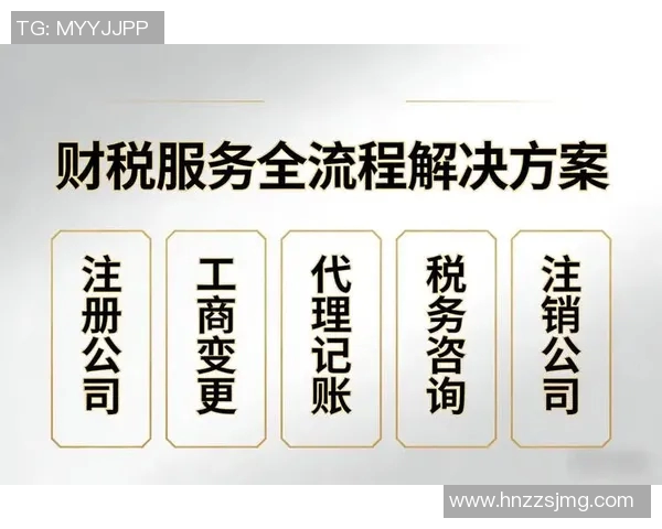 财务注册与企业税务优化：提升财务合规性与运营效率的策略分析